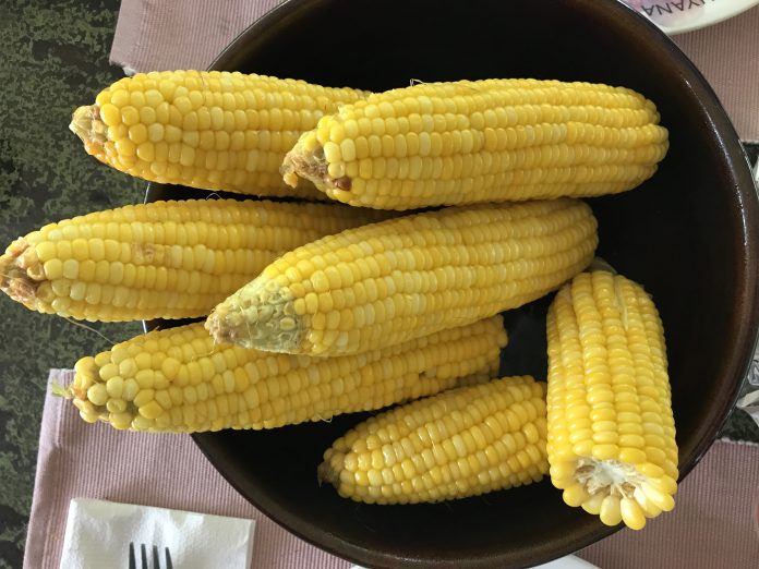 Corn on Sob